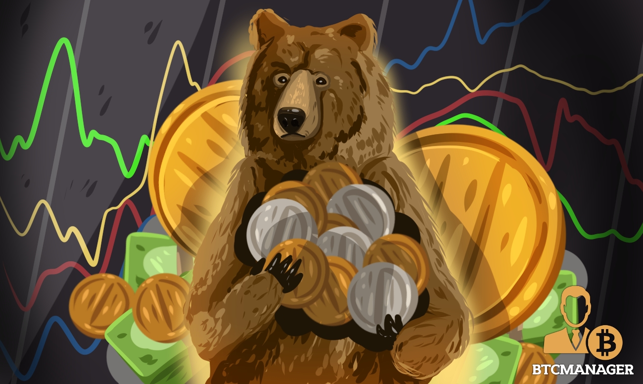 cryptocurrency bear market